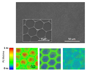 Top: Scanning electron microscopy image and zoom of conjugated polymer (PPV) honeycomb. Bottom (left-to-right): Confocal fluorescence lifetime images of conjugated honeycomb, of polymer/fullerene honeycomb double layer and of polymer/fullerene honeycomb blend. Efficient charge transfer within the whole framework is observed in the case of polymer/fullerene honeycomb blend as a dramatic reduction in the fluorescence lifetime.
