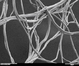 Sample Cellulose Acetate Fibers