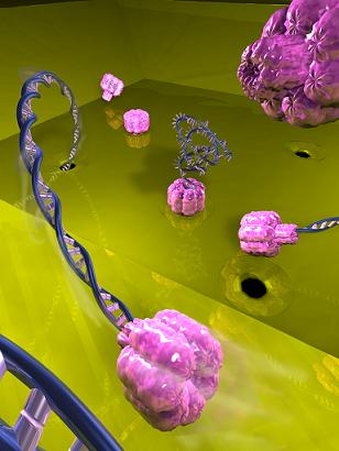 Artistic rendering of the formation of hybrid pores by the directed insertion of the biological protein pore alpha hemolysin (pink) into solid-state nanopores (holes in the green bottom layer). An applied electric field drives a double-stranded DNA molecule (blue, left) into the hole, which subsequently drags the pink hemolysin protein into position. Once assembled, these hybrid nanopores can be used to pull single-strand DNA (blue, center) through, for analysis and sequencing. Image courtesy Cees Dekker lab TU Delft / Tremani