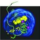 Small Molecules for Metal-Amyloid Species in the Brain.  Credit: Mi Hee Lim and Joseph J. Braymer 
