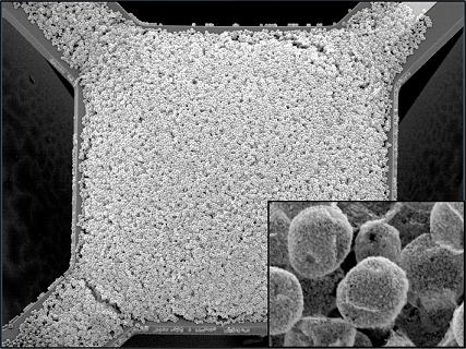 This image shows a new type of sensor for an advanced breath-analysis technology that rapidly diagnoses patients by detecting "biomarkers" in a person's respiration in real time. Researchers used a template made of micron-size polymer particles and coated them with much smaller metal oxide nanoparticles. Using nanoparticle-coated microparticles instead of a flat surface allows researchers to increase the porosity of the sensor films, increasing the "active sensing surface area" to improve sensitivity. (Purdue University and NIST)