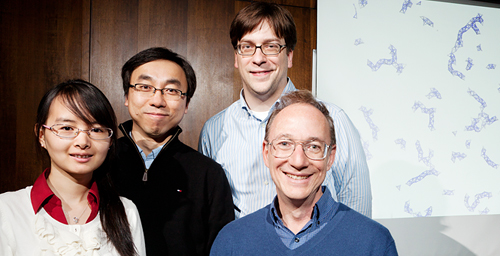 Researchers led by Founder Professor of Engineering Steve Granick, right, have developed tiny spheres that attract water to form "supermolecule" structures. Team members, from left, Qian Chen, doctoral student in materials science and engineering; Sung Chul Bae, research scientist; and Jonathan Whitmer, doctoral student in physics.  Photo by L. Brian Stauffer 