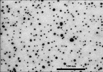 TEM image of silver nanoparticles in the algicide Algaedyn used for swimming pools. Courtesy EMPA
