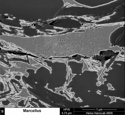 Image of a Marcellus shale sample with nanoscale pores visible within organic matter, taken using a Helios system from FEI