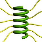 Researchers found that elongating side chains with charged ends enabled short proteins to coil into a stable helix. | Image courtesy Jianjun 