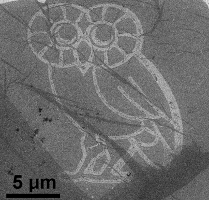 A Rice University owl about 15 millionths of a meter wide was patterned in a single layer of graphene by Ayrat Dimiev, a postdoctoral researcher in the Rice lab of Professor James Tour. The work is part of a new paper in this week's edition of the journal Science. 
(Credit: Tour Lab/Rice University)