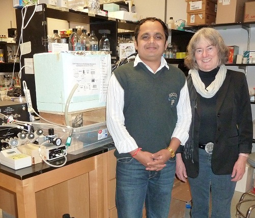 Queen's researchers Niraj Kumar and Virginia Walker with the piece of equipment they used to measure the respiration of microbe communities living in Arctic soil samples.