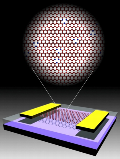 Schematic of a graphene transistor showing graphene (red), gold electrodes (yellow), silicon dioxide (clear) and silicon substrate (black). Inset shows the graphene lattice with vacancy defects. Vacancies (missing atoms) are shown surrounded by blue carbon atoms.