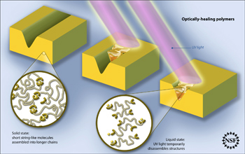 Schematic of optically healing polymers. The specially designed polymer molecules that make up the solid item can be disassembled by the UV light so that they flow and fill in the cracks. When the light is turned off, the molecules reassemble themselves and the filled cracks become rigid again.

Credit: Zina Deretsky, National Science Foundation, after Burnworth et al., Nature, April 21, 2011