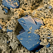 Nanoscale crystal seeds also make concrete harden faster at normal outside temperatures (magnification 960:1 at 12 cm image width).