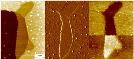 The left hand image is the topography; the middle the topography error image; and right the electrostatic force microscopy image where the tip bias has been switched half way through the image.