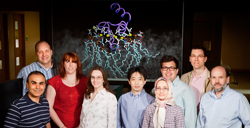 Photo by L. Brian Stauffer

An interdisciplinary collaboration at the University of Illinois led to a breakthrough in understanding blood clotting. Researchers on the study were (from left): Emad Tajkhorshid, Chad Rienstra, Mary Clay, Rebecca Davis-Harrison, Zenmei Ohkubo, Narjes Tavoosi, Mark Arcario, Taras Pogorelov and James Morrissey.