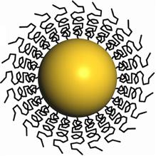 A schematic diagram shows a gold nanoparticle stabilized with polyvinyl alcohol (PVA) ligands.