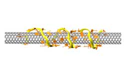 
Wrapped up in their work: Molecular model shows a single-strand DNA molecule (yellow ribbon) coiled around an "armchair" carbon nanotube.
Credit: Roxbury, Jagota/NIST