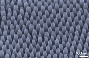 Fine arrays of nanopillars can be patterned onto a silicon surface using a self-assembling polymer template
Copyright : A*STAR