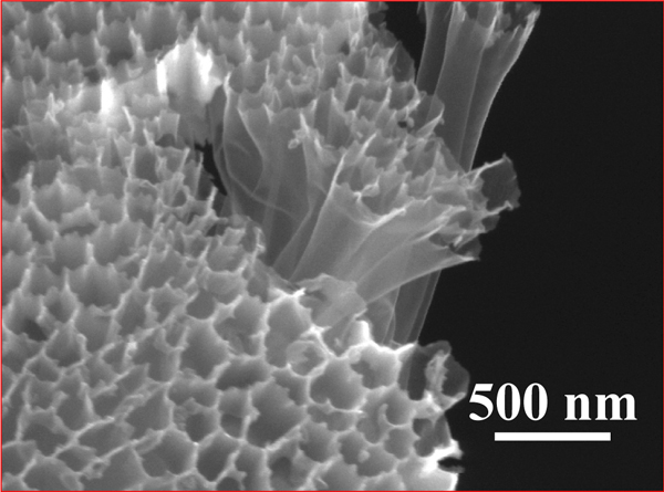 A scanning electron microscope photo of hollow carbon nanofiber-encapsulated sulfur tubes, at the heart of a new battery design.