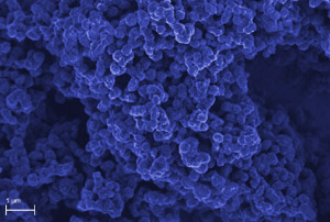 Microscope image of an electrode surface with 24 layers of polysilicate submicroparticles coated with carbon nanoparticles. Such electrodes, developed at the Institute of Physical Chemistry of the Polish Academy of Sciences in Warsaw, Poland, allow for dopamine sensing in solutions in the presence of interfering substances.