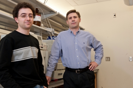 Rice University's Leonid Vigderman (left) and Eugene Zubarev have found a way to load more than 2 million tiny gold particles called nanorods into a single cancer cell.
CREDIT: Jeff Fitlow/Rice University