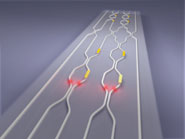 Artists impression of the quantum photonic chip, showing the waveguide circuit (in white), and the voltage-controlled phase shifters (metal contacts on the surface). Photon pairs become entangled as they pass through the circuit.
Image by University of Bristol's Centre for Quantum Photonics