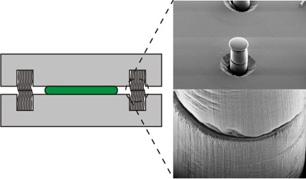 Two chips have interconnects that are filled with thousands of carbon nanotubes. The chips are then bonded with adhesive so that the carbon nanotubes are directly contacted. A connection using two such interconnects is pictured to the right.
Image credit: Teng Wang, Kjell Jeppson, Lilei Ye, Johan Liu. Carbon-Nanotube Through-Silicon Via Interconnects for Three-Dimensional Integration. Small, 2011, Volume 7, pages 2,3132,317. Copyright Wiley-VCH Verlag GmbH & Co. KGaA. Reproduced with permission.