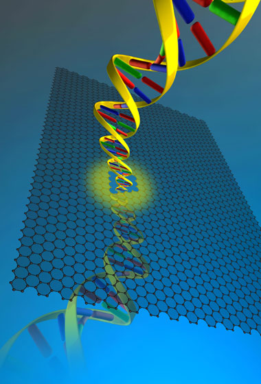 mage courtesy of Slaven Garaj, Jene Golovchenko, Jing Kong, Daniel Branton, W. Hubbard, and A. Reina

In a Nature Nanotechnology cover article, researchers from Harvard and the Massachusetts Institute of Technology demonstrated that a long DNA molecule can be pulled through a graphene nanopore.