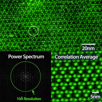 Bacteriorhodopsin imaged with the Cypher AFM in AC mode using a short cantilever. In the original AFM image (top) missing sub-units are easily resolved (white circle) and its power spectrum shows spots outside of the 10 Angstrom circle, demonstrating sub-nanometer resolution. The lower right image is a correlation average of the original image.