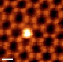 Electron microscopy at Oak Ridge National Laboratory has demonstrated that silicon atoms (seen in white) can act like "atomic antennae" in graphene and transmit an electronic signal at the atomic scale. 