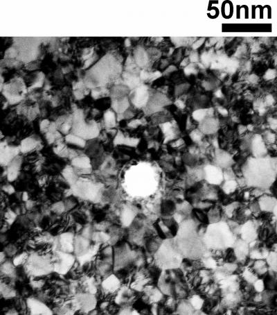 This transmission electron micrograph shows a solid-state nanopore: The white circle in the middle of the picture. The otherwise patchy-looking structure results from the polycrystalline nature of a gold film that was evaporated onto the silicon nitride membrane (which cannot be seen).

Credit: Rant group, TU Muenchen Copyright TU Muenchen