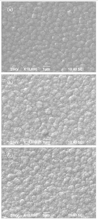 Fig. 4 SEM images of the MgF2 on different substrates: (a) CaF2, (b) Si(100), (c) Si(111).