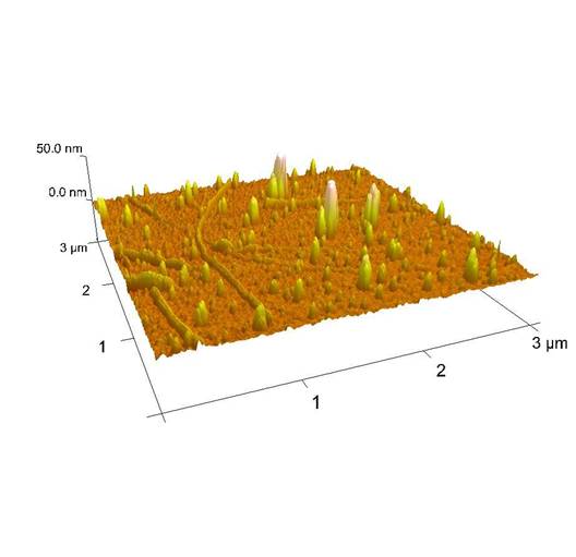Nanostructured surface with detection elements (Source: IPTC, Universty of Tbingen)