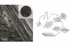 The final hybrid nanocomposite paper made of protein fibrils and graphene after vacuum filtration drying. The schematic route used by the researchers to combine graphene and protein fibrils into the new hybrid nanocomposite paper. (Reproduced from Li et al. Nature Nanotechnology 2012) (gallery)