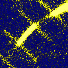 An image showing light scattering from a silicon nanowire running diagonally from bottom left to top right. The brighter areas are bare silicon while the dimmer sections are coated with gold demonstrating how plasmonic cloaking reduces light scattering in the gold-coated sections. Photo: Stanford Nanocharacterization Lab.