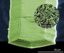  Fabien Schnell/NS3E Overall view of a microcantilever nanostructured by aligned titanium dioxide nanotubes.