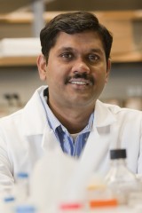Balaji Sitharaman, PhD