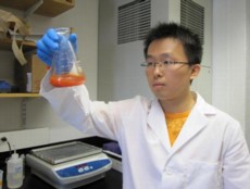 Selenium solution	Qi Wang swirls a solution of selenium nanoparticles in the lab. Coatings of the nanoparticles appear effective in fighting staph bacteria in medical device materials, according to a new study.	Credit: Webster Lab/Brown University	