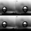 Time-lapse images of vapor bubble departure on the microstructured surfaces (a-d).
Image: Kuang-Han Chu et al, Applied Physics Letters 