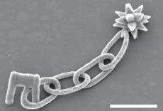 A BSAmicrostructure (modelled on a medieval morningstar) constructed through the new protogel multiphoton lithography technique.