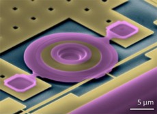 False-color scanning electron micrograph of a nanophotonic motion sensor. Vertical motion of the silicon nitride ring (pink) changes an evanescent light field of the silicon disk optical cavity (beige) a few hundred nanometers below it.