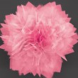The GeS nanoflowers have petals only 20-30 nanometers thick, and provide a large surface area in a small amount of space.