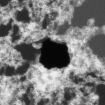 
A high-resolution scanning transmission electron microscope image taken at Oak Ridge National Laboratory showing a large hole in the graphene (black region in the center). The image is 32 nm by 32 nm, hence the hole is about 10 nm in diameter. The white on the surface of the graphene is contamination, which is a recurring problem for anyone imaging graphene using this technique.
Image courtesy of Juan-Carlos Idrobo 
