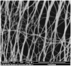 A thin film of pure carbon nanotubes produced at Rice Universityshows promise as a component of flexible, transparent touchscreens. (Credit: Pasquali Lab/Rice University)