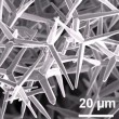 The zinc oxide tetrapods taken under a scanning electron microscope.