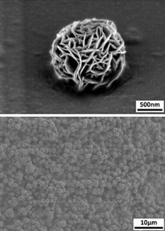 Provided/Luo Lab
Under an electron microscope the material is revealed to consist of tiny "bird's nests" of tangled DNA, top, which are tied together by more DNA stands into a mass, bottom. The tangled structure creates many tiny spaces that absorb water like a sponge.
