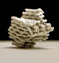 This 3-D print shows a DNA-based structure designed to test a critical assumption -- that such objects could be realized, as designed, with subnanometer precision. This object is a relatively large, three-dimensional DNA-based structure, asymmetrical to help determine the orientation, and incorporating distinctive design motifs. Subnanometer-resolution imaging with low-temperature electron microscopy enabled researchers to map the object -- which comprises more than 460,000 atoms -- with subnanometer-scale detail.

Credit: Dietz Lab, TU Muenchen