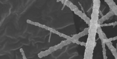 Photo by Prashant Jain

Nanofibers of metal oxide provide lots of highly reactive surface area for scrubbing sulfur compounds from fuel. Sulfur has to be removed because it emits toxic gasses and corrodes catalysts. 