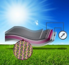 Illustration shows the layered structure of the new device, starting with a flexible layer of graphene, a one-atom-thick carbon material. A layer of polymer is bonded to that, and then a layer of zinc-oxide nano wires (shown in magenta), and finally a layer of a material that can extract energy from sunlight, such as quantum dots or a polymer-based material.
Illustration courtesy of the research team, MIT