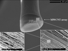 A fabricated electrode with a grown MWCNT array (CNT post fabricated at the UC Nanoworld Lab).