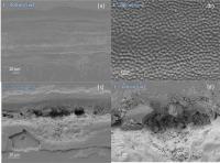 These scanning electron microscope images reveal how UV laser light changes the surface texture and wettability of glass. Figures (a) and (b) reveal subtle texturing after lower-energy exposure to laser light. These textures made the surfaces more hydrophilic in (a) and more hydrophobic (water repellent) in (b). Higher energies produced a rougher and even more hydrophilic (wettable) (c) and (d) close-up of (c), surface.

Credit: Optical Materials Express.