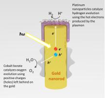 The process by which light is captured by the gold nanorod, and converted into energy that can spilt water (H2O) into hydrogen and oxygen.
Credit: Syed Mubeen
