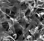 Graphene-coated ribbons of vanadium oxide, seen in a scanning electron microscope image, might be the best electrode for lithium-ion batteries yet tested, according to researchers at Rice University.Credit: Ajayan Group/Rice University